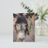 Mexiko, San Miguel De Allende 2 Postkarte (Stehend Vorderseite)