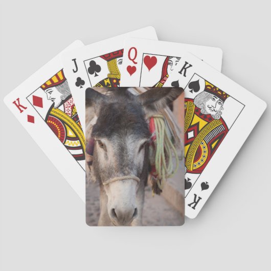 Mexiko, San Miguel De Allende 2 Spielkarten (Rückseite)