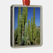 Mexiko, Sonora, San Carlos. Saguaro & Orgelpfanne Ornament Aus Metall (Rechts)