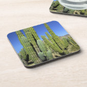 Mexiko, Sonora, San Carlos. Saguaro & Orgelpfanne Untersetzer (Linke Seite)