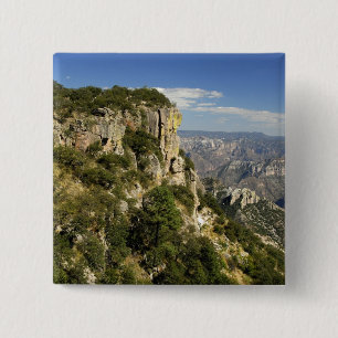 Mexiko, Staat von Chihuahua, Copper Canyon. DIES Button