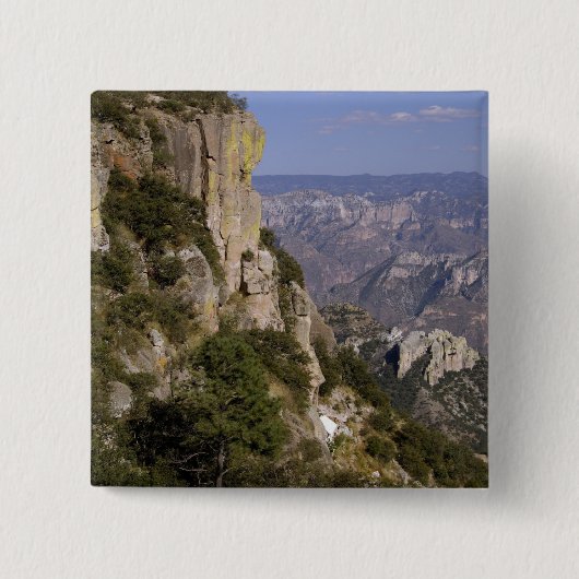 Mexiko, Staat von Chihuahua, Copper Canyon. DIESE Button (Vorderseite)