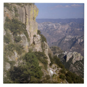 Mexiko, Staat von Chihuahua, Copper Canyon. DIESE Fliese