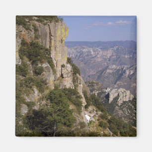 Mexiko, Staat von Chihuahua, Copper Canyon. DIESE Magnet