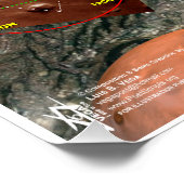 Mexiko-Stadt - Star-Karte Poster (Ecke)