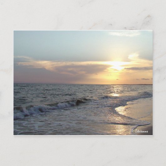 Mexiko Strand, Florida Postkarte (Vorderseite)