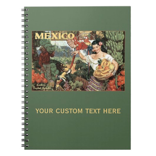 Mexiko Vintage Reisebuch Notizblock (Vorderseite)