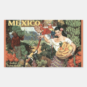 Mexiko Vintage-Reisekleber Rechteckiger Aufkleber