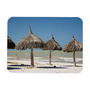 Mexiko, Yucatan-Halbinsel, Progreso. Dachdeckung Magnet