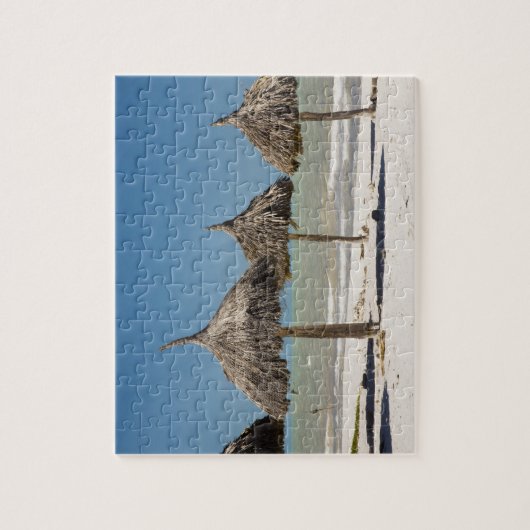 Mexiko, Yucatan Halbinsel, Progreso. Schlag Puzzle (Vertikal)