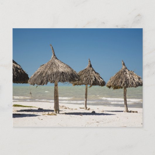 Mexiko, Yucatan-Halbinsel, Progreso. Strohdach Postkarte (Vorderseite)