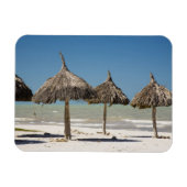 Mexiko, Yucatan Halbinsel, Progreso. Thatch Magnet (Horizontal)