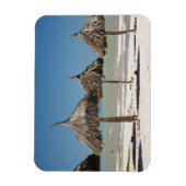 Mexiko, Yucatan Halbinsel, Progreso. Thatch Magnet (Vertikal)