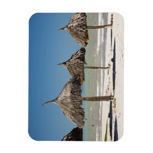 Mexiko, Yucatan Halbinsel, Progreso. Thatch Magnet (Vertikal)