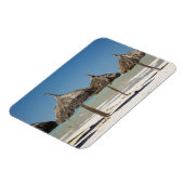 Mexiko, Yucatan Halbinsel, Progreso. Thatch Magnet (Linke Seite)