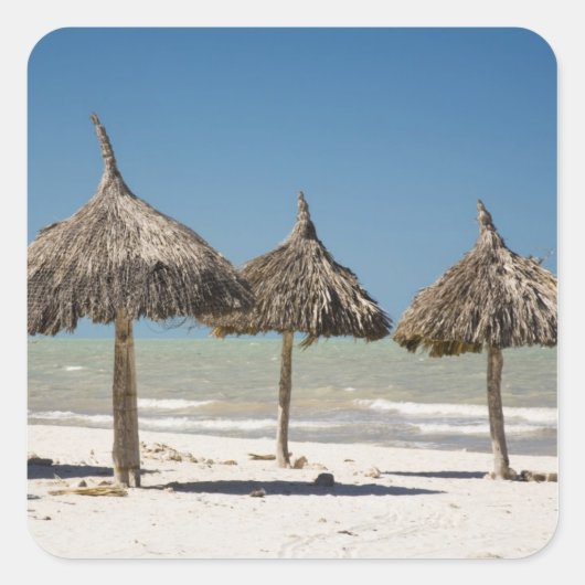 Mexiko, Yucatan Halbinsel, Progreso. Thatch Quadratischer Aufkleber (Vorderseite)