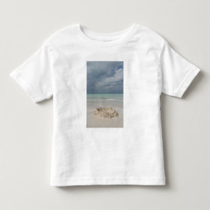 Mexiko, Yucatan, Isla Mujeres Insel Kleinkind T-shirt