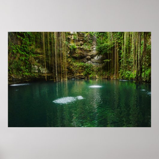 Mexiko, Yucatan, Landschaftlicher See Poster (Vorne)