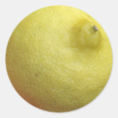 Meyer-Zitrone Runder Aufkleber (Vorderseite)