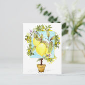 Meyer-Zitronenbaum Zitrusfrucht Garten Postkarte (Stehend Vorderseite)