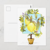 Meyer-Zitronenbaum Zitrusfrucht Garten Postkarte (Vorne/Hinten)