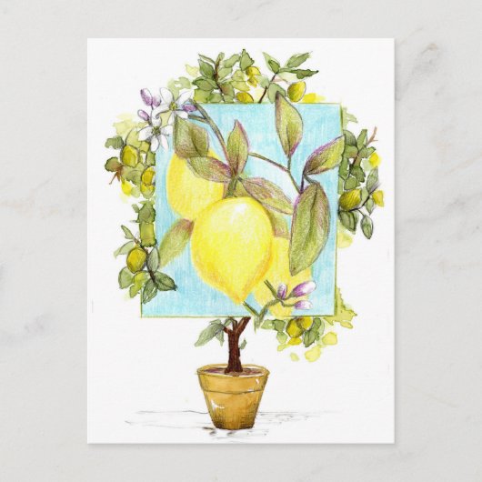 Meyer-Zitronenbaum Zitrusfrucht Garten Postkarte (Vorderseite)