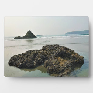 Meyers Beach North, Gold Beach, Oregon Fotoplatte