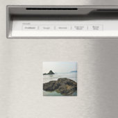 Meyers Beach North, Gold Beach, Oregon Magnet (In Situ (Geschirrspüler))