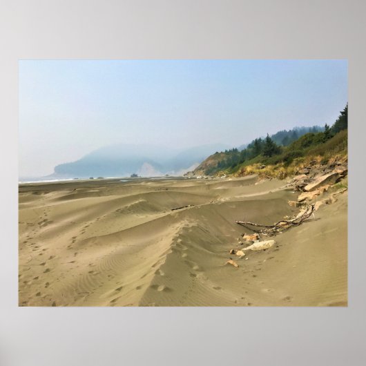 Meyers Beach North, Gold Beach, Oregon Poster (Vorne)