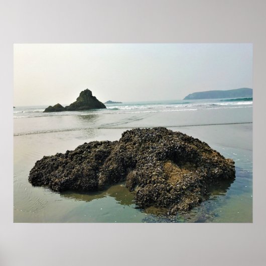 Meyers Beach North, Gold Beach, Oregon Poster (Vorne)