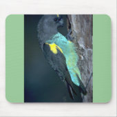 Meyers Papagei Mousepad (Vorne)