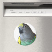 Meyers Parrot Magnet (In Situ (Geschirrspüler))