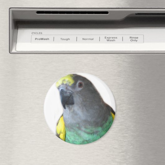 Meyers Parrot Magnet (In Situ (Geschirrspüler))