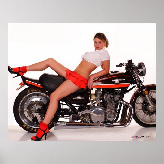 _MG_7804a Cassie & The Z1 Poster (Vorne)