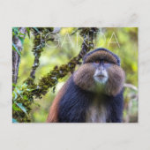 Mgahinga Park, Uganda Reise-Postkarte Postkarte (Vorderseite)