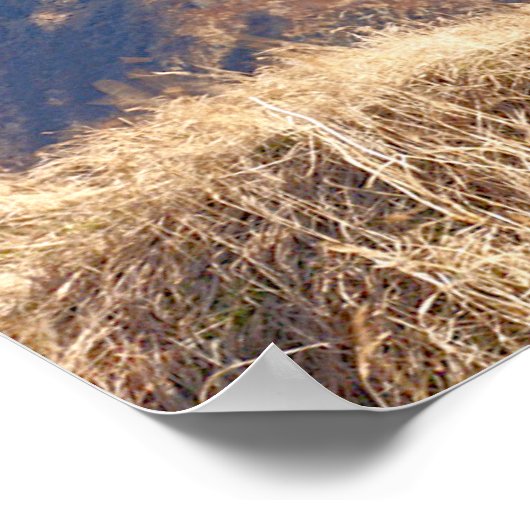 MH-60 T JAYHAWK POSTER (Ecke)