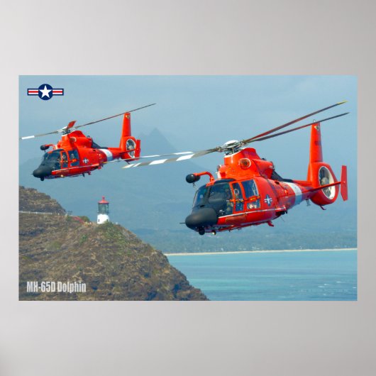 MH-65D DELPHIN POSTER (Vorne)