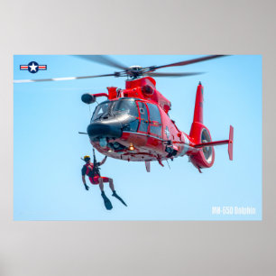 MH-65D DELPHIN POSTER