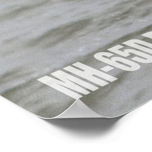 MH-65D-DOLPHIN POSTER (Ecke)