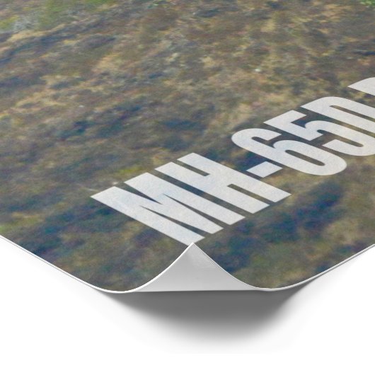 MH-65D-DOLPHIN POSTER (Ecke)