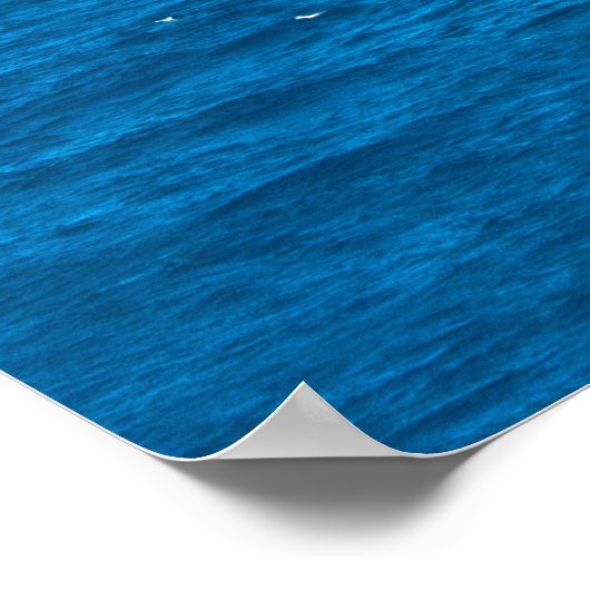 MH-65D-DOLPHIN POSTER (Ecke)