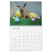 MHRR Honeybadger 12-monatiger Kalender Häschens (Mär 2027)