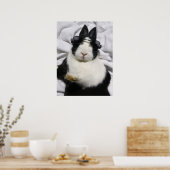 MHRR Niederländisch Schwarz-weißes Kaninchen Somme Poster (Küche)