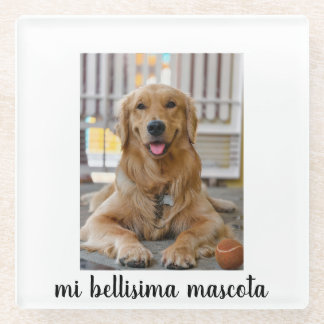 mi bellisima mascota glasuntersetzer