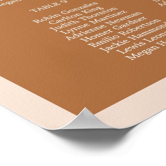 MIA Arched Boho Terracotta Wedding Chart Poster (Ecke)