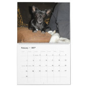 Mia Chihuahua Dog 2024 Kalender (Feb 2027)