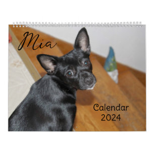 Mia Chihuahua Dog 2024 Kalender