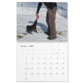 Mia Chihuahua Dog 2024 Kalender (Jan 2027)