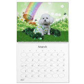 Mia - ein Bichon Frise 2014 Kalender (Mär 2027)