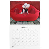 Mia - ein Bichon Frise 2014 Kalender (Feb 2027)